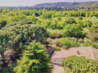 Villa 3 chambres au milieu des pins... — photo 2