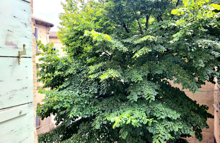 AU PIED DE LA PLACE AUX HERBES ! — photo 3
