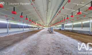 Maison 2 Pièces 1300 m² à vendre à Sainte-Marie (35600)