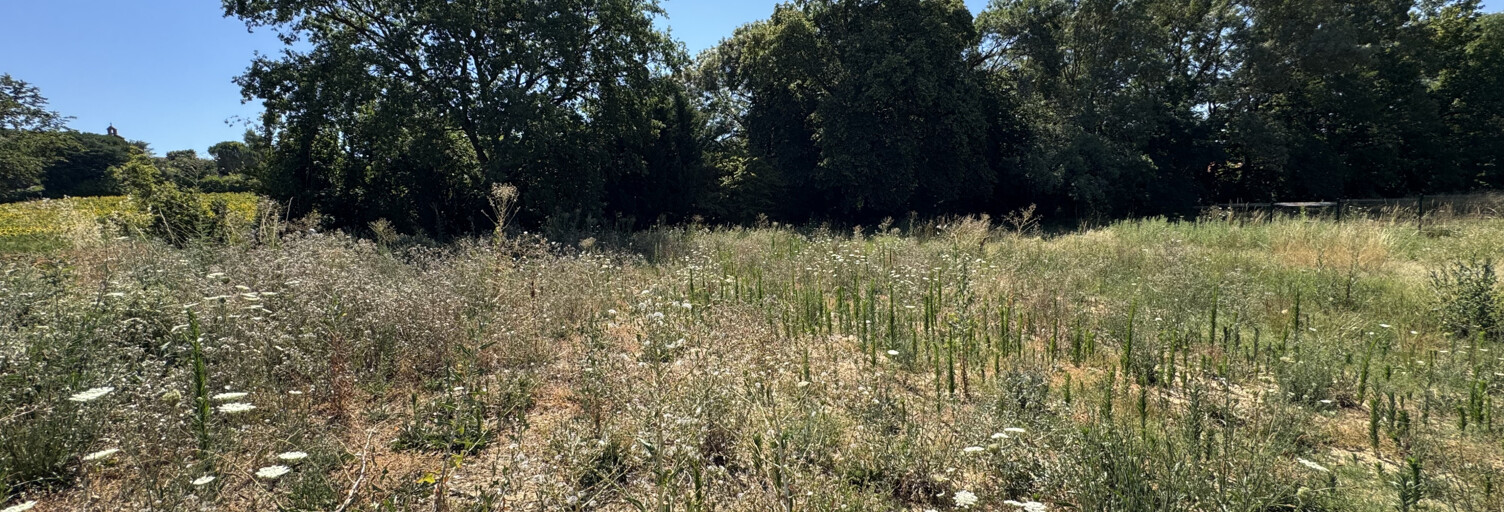 Terrain  891 m² à vendre à Quint-Fonsegrives (31130)