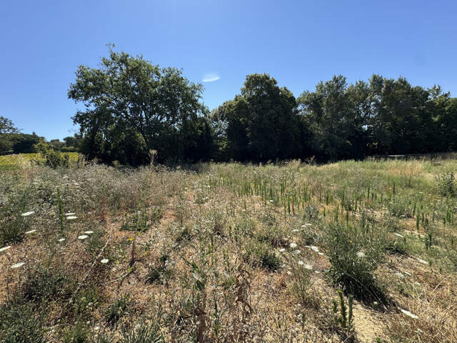 Terrain constructible -  QUINT-FONSEGRIVES — photo du bien