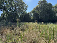 Terrain constructible -  QUINT-FONSEGRIVES — photo 4