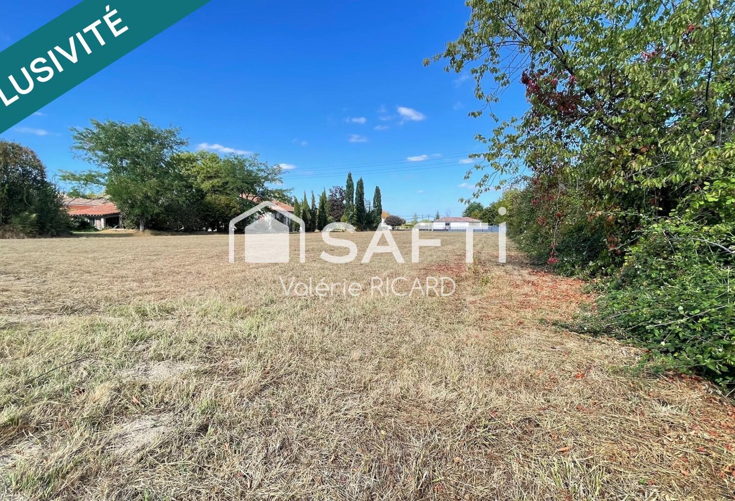 A Nègrepelisse terrain constructibles de 3 810 m² — photo 1