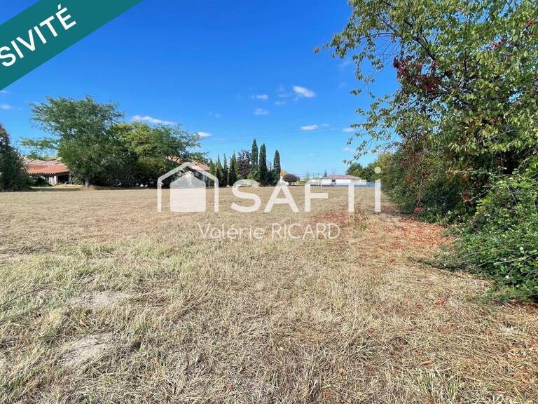 A Nègrepelisse terrain constructibles de 3 810 m² — photo 1