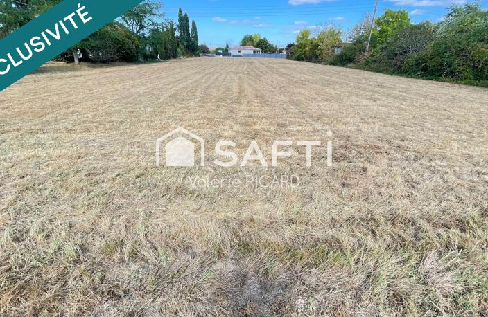 A Nègrepelisse terrain constructibles de 3 810 m² — photo 3