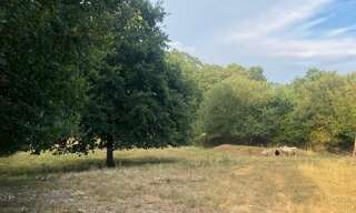 Terrain  8610 m² à vendre à Guipry-Messac (35480)