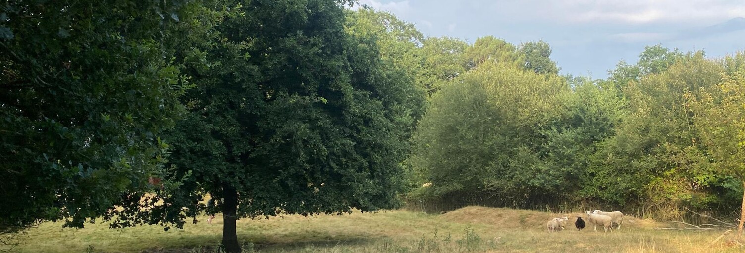 Terrain  8610 m² à vendre à Guipry-Messac (35480)