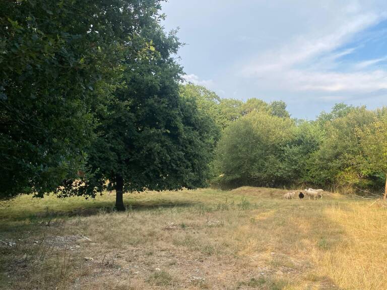 Terrain de loisir 8 610 m² , Guipry-Messac — photo 1