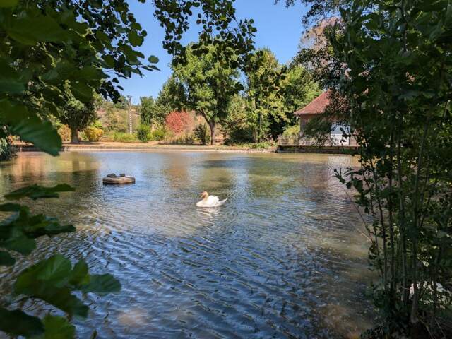 Ancien moulin avec parc, étang et piscine — photo du bien