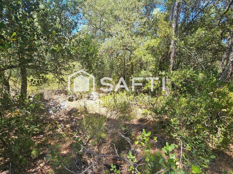 Terrain en nature de bois — photo 1