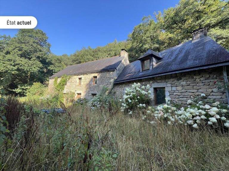 Moulin de 3 pièces principales — photo 1