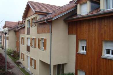 Appartement 1 pièces 800 €