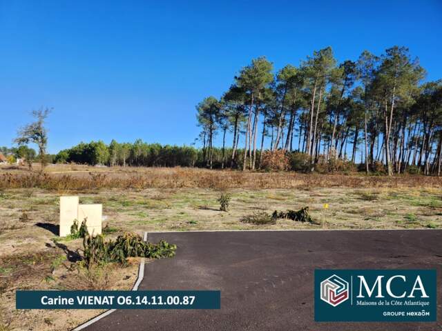 Terrain à bâtir à Pissos (40410) — photo du bien