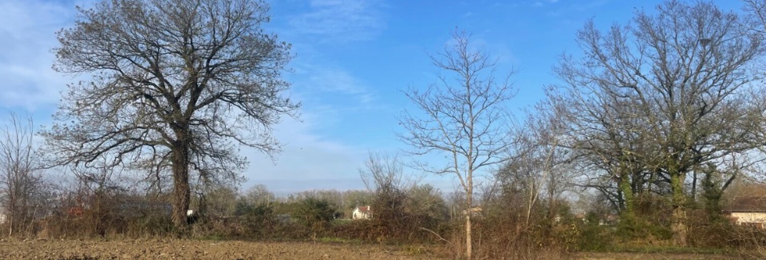 Terrain  695 m² à vendre à Bordères-et-Lamensans (40270)