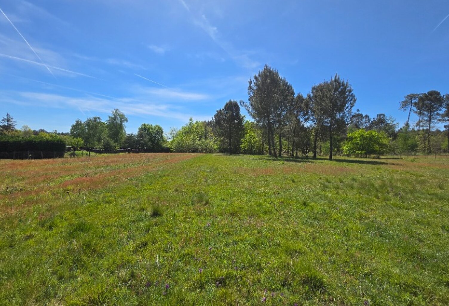 Terrain à bâtir à Aubie-et-Espessas (33240) — photo 1