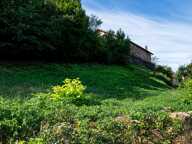 Grange à rénover avec terrain — photo 4