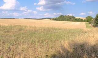 Terrain  1000 m² à vendre à Villeneuve-l'Archevêque (89190)