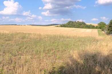 Terrain  25000 €