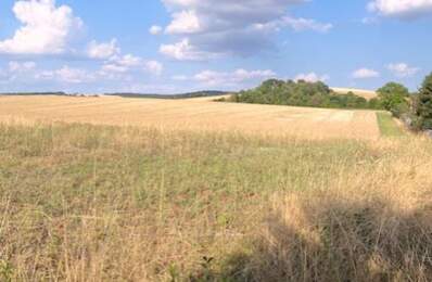 Terrain à vendre  Proche de VILLENEUVE L'ARCHEVEQUE (89) — photo du bien