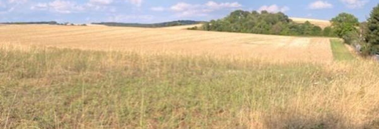 Terrain  1000 m² à vendre à Villeneuve-l'Archevêque (89190)