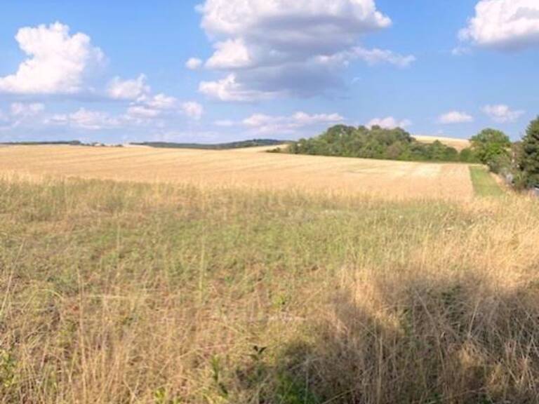 Terrain à vendre  Proche de VILLENEUVE L'ARCHEVEQUE (89) — photo 1