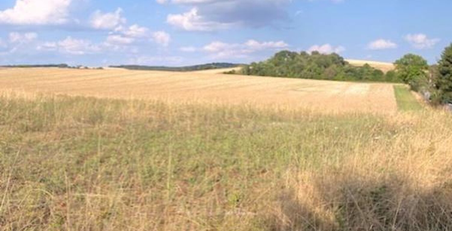 Terrain à vendre  Proche de VILLENEUVE L'ARCHEVEQUE (89) — photo 1