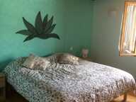 Maison de 180m2 à louer sur Apprieu — photo 3