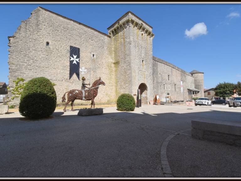 Maison Caussenarde remarquable à vendre 4 pièces LA CAVALERIE (12) — photo 1
