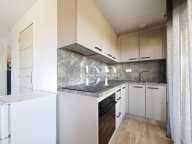 Maison à vendre 5 pièces LUCINGES (74) — photo 4