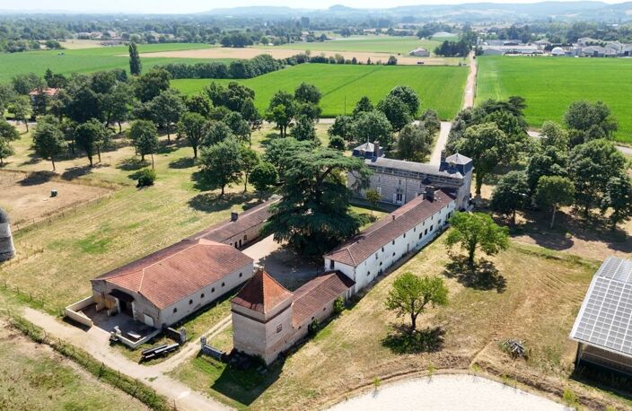 Propriete équestre et son château, à vendre 14 pièces LE TEMPLE SUR LOT (47) — photo 2