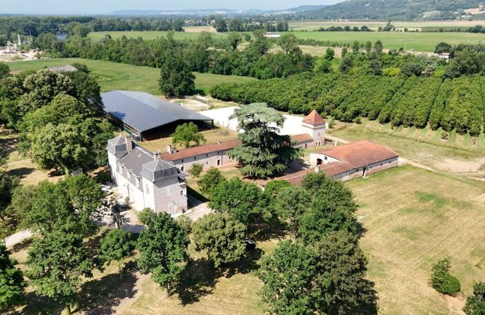 Propriete équestre et son château, à vendre 14 pièces LE TEMPLE SUR LOT (47) — photo 3