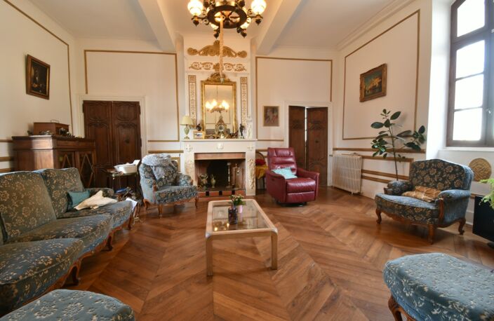 Propriete équestre et son château, à vendre 14 pièces LE TEMPLE SUR LOT (47) — photo 5