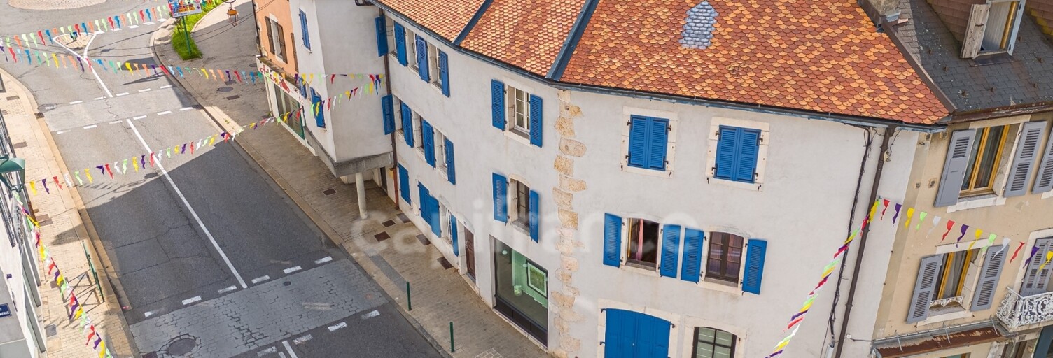 Maison 10 Pièces 260 m² à vendre à Gex (01170)