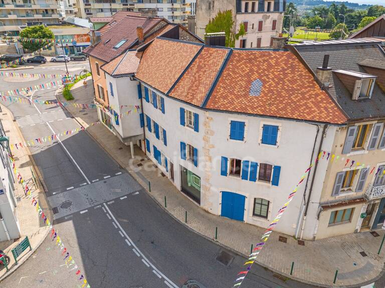 Maison à vendre 10 pièces GEX (01) — photo 1