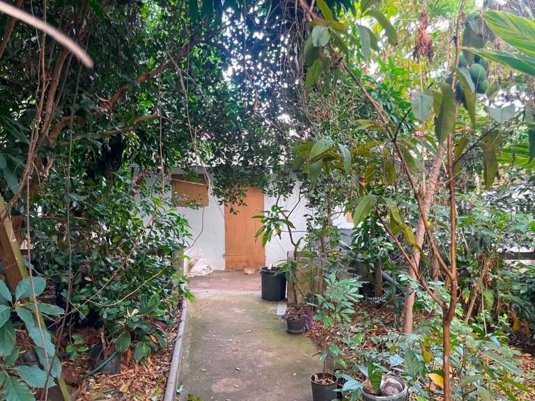 Maison à vendre T4 SAINT GILLES LES HAUTS (974) — photo 1