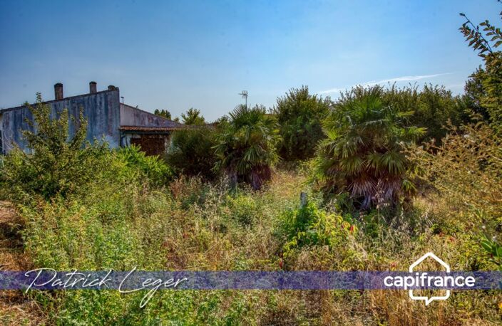SAINT MARTIN DE RE (17), maison à rénover de 95 m² sur terrain de plus de 730m² en zone UB — photo 5