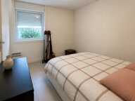 Appartement T2 - 46m² - Blagnac — photo 4