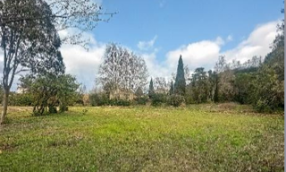 Terrain 750 m² à construire Saint-Maximin-la-Sainte-Baume (83470)