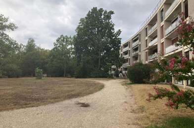 Appartement 1 pièces 470 €