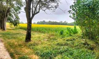Terrain  400000 m² à vendre à Puycasquier (32120)