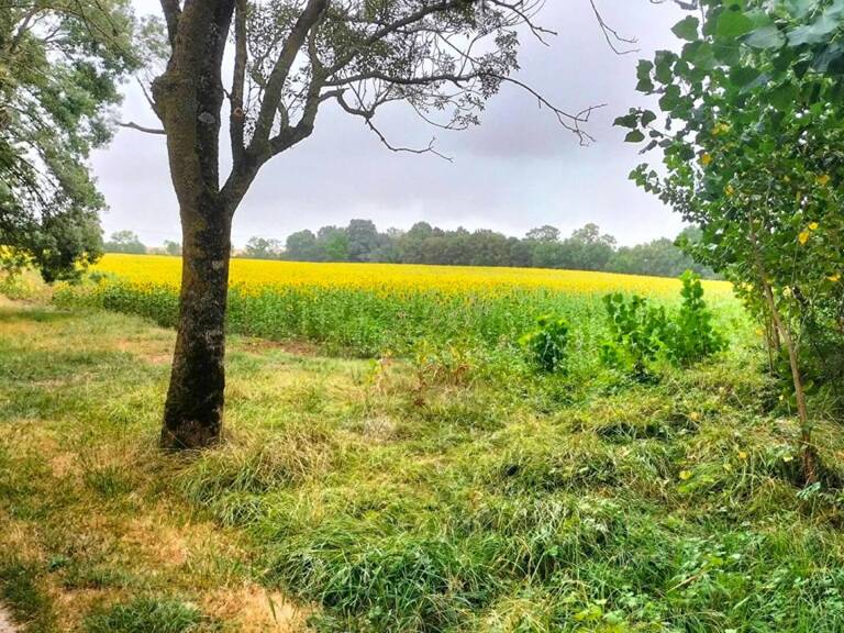 Terres agricoles 40 Ha (32120 ) Puycasquier — photo 1