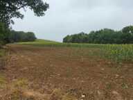 Terres agricoles 40 Ha (32120 ) Puycasquier — photo 3