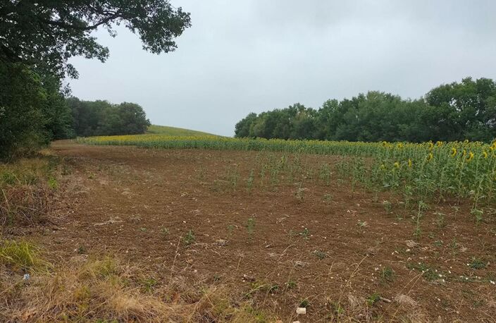 Terres agricoles 40 Ha (32120 ) Puycasquier — photo 3