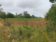 Terres agricoles 40 Ha (32120 ) Puycasquier — photo 4