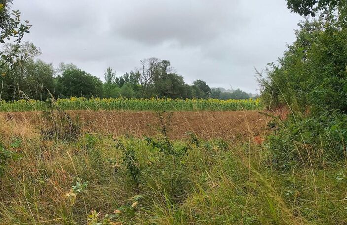 Terres agricoles 40 Ha (32120 ) Puycasquier — photo 4