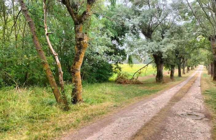 Terres agricoles 40 Ha (32120 ) Puycasquier — photo 5