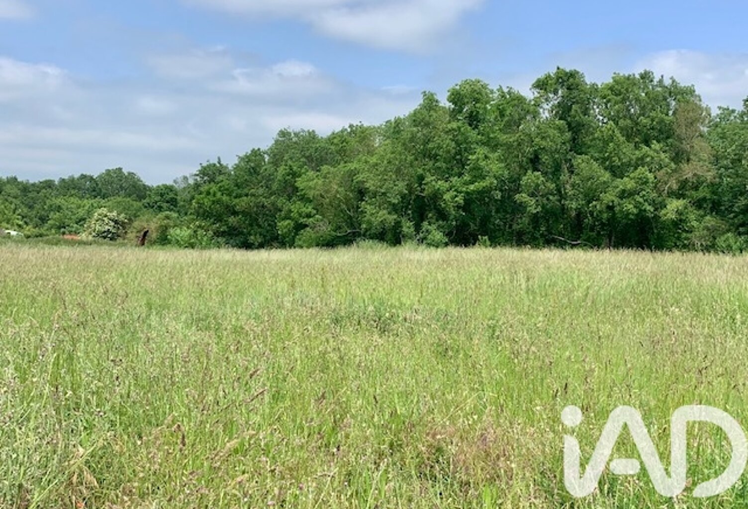 Vente Terrain à bâtir 1 003 m&sup2; — photo 1
