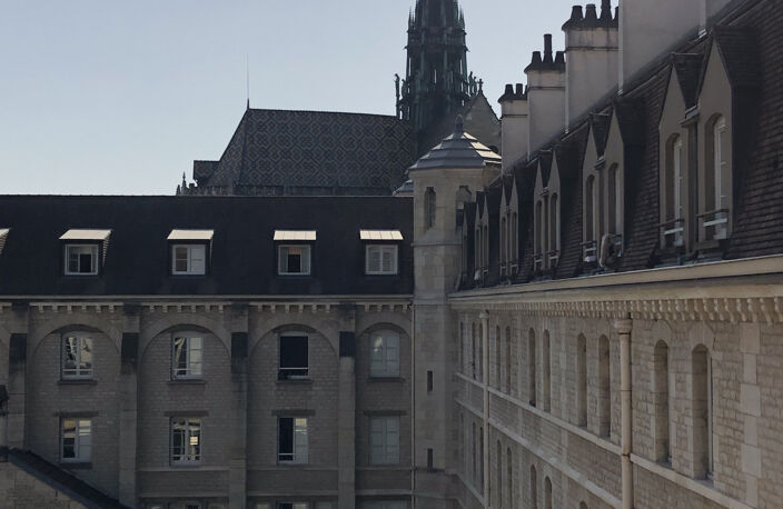 DIJON - COEUR DE VILLE LOCATION appartement T2 — photo 3