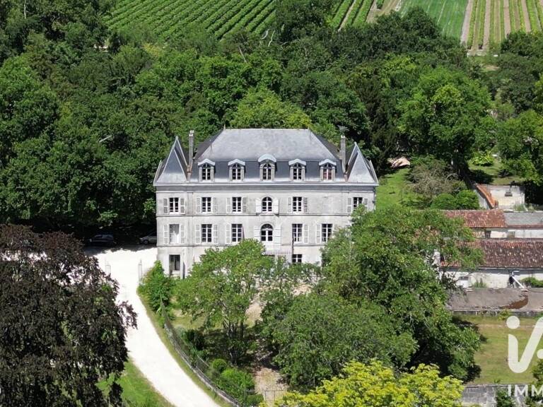 Vente Château 16 pièces — photo 1