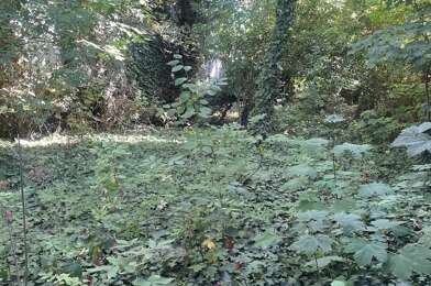 Terrain  41000 €
